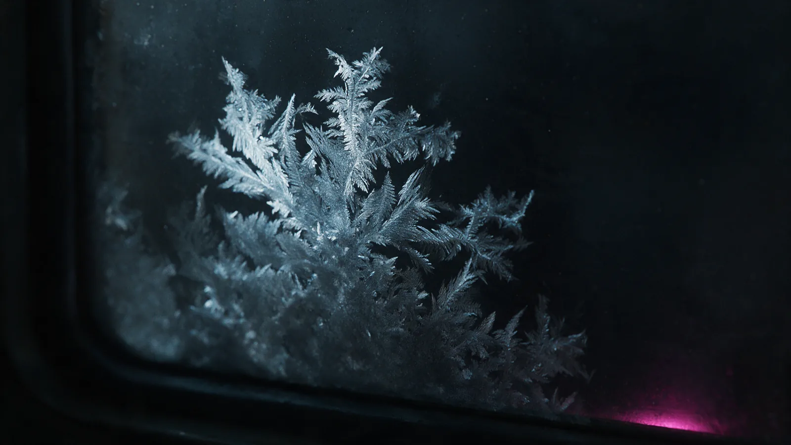 Feathered frost crystals spreading across a dark pane of laboratory glass under raking side light