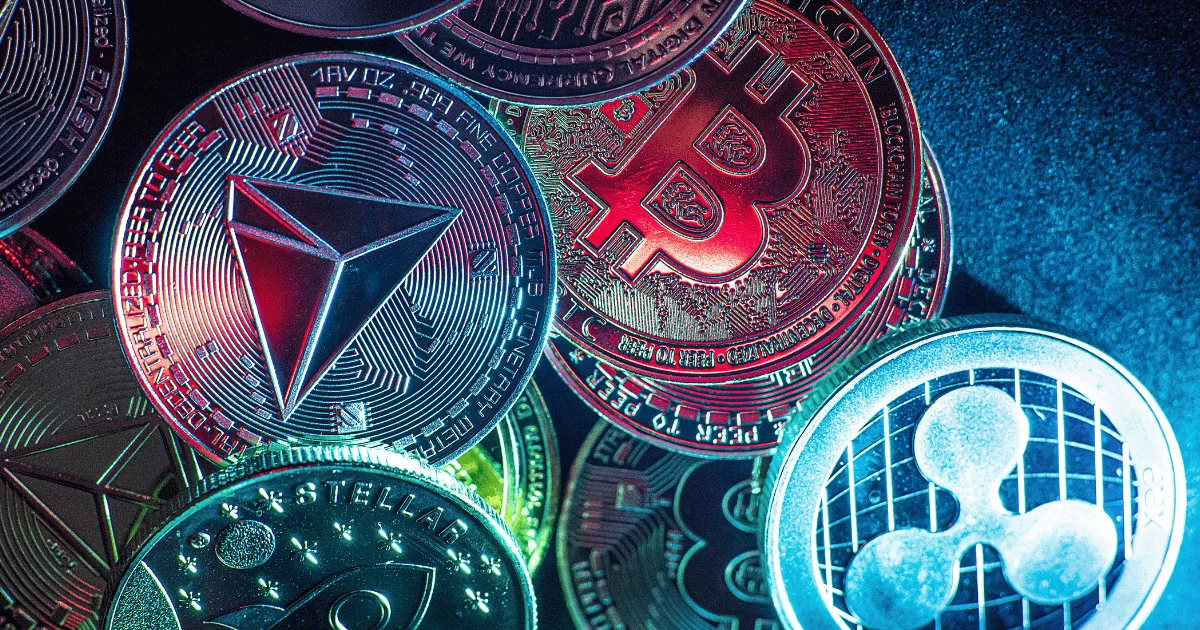Cryptolicence 14